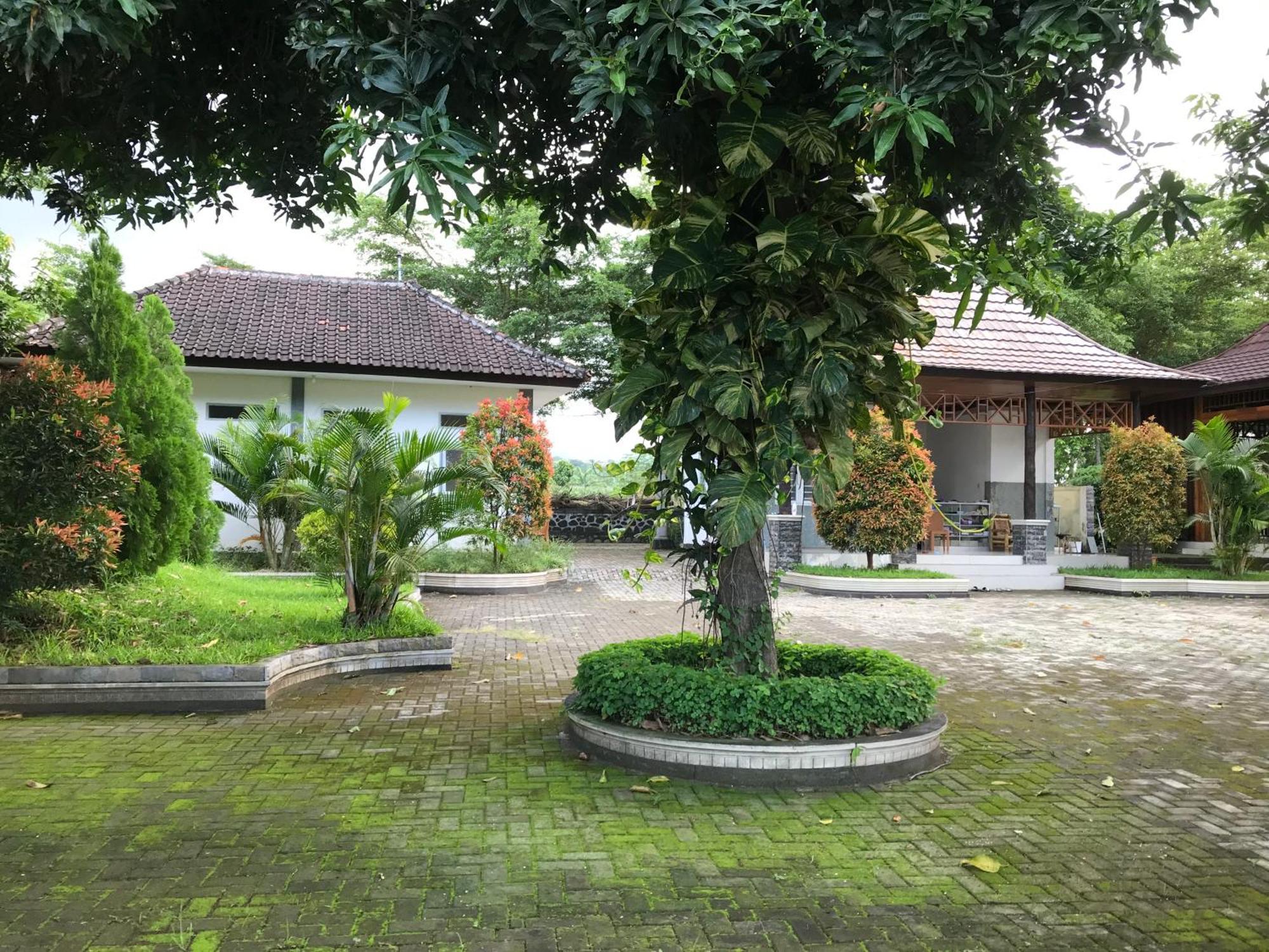 Pohon Purba Resort & Restaurant Labuhan Pandan Exterior foto