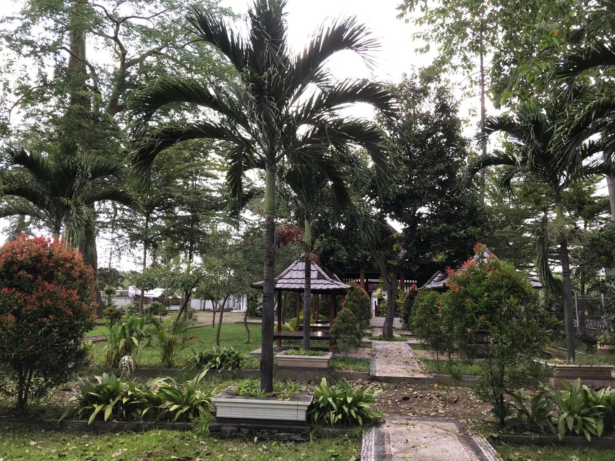 Pohon Purba Resort & Restaurant Labuhan Pandan Exterior foto