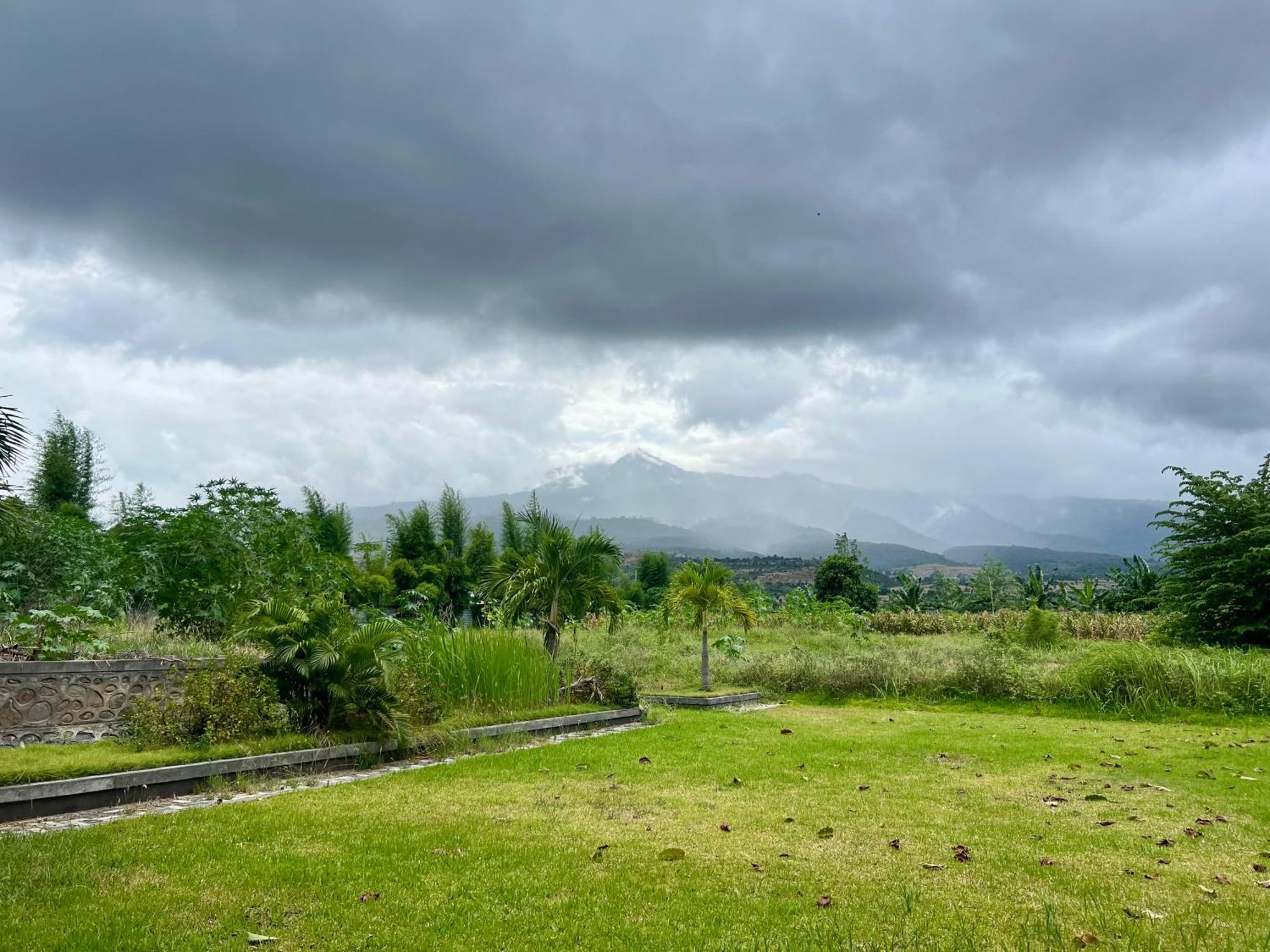 Pohon Purba Resort & Restaurant Labuhan Pandan Exterior foto